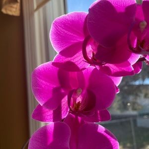 Meet your Posher, Anastasiya